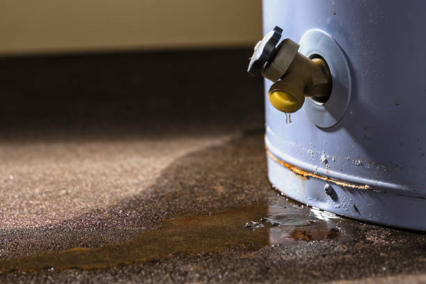 Best Flood restoration services  in Cross City, FL