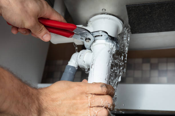 Best Water damage restoration near me  in Cross City, FL