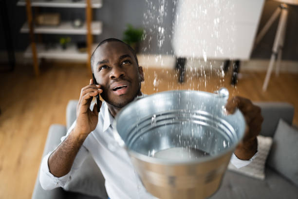 Best Water damage restoration experts  in Cross City, FL