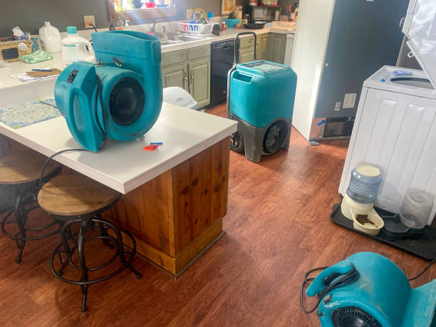 Best 24-hour water damage restoration  in Cross City, FL
