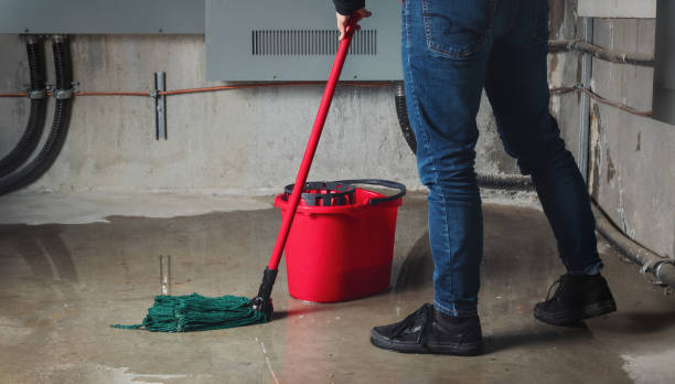 Best Flooded house restoration  in Cross City, FL