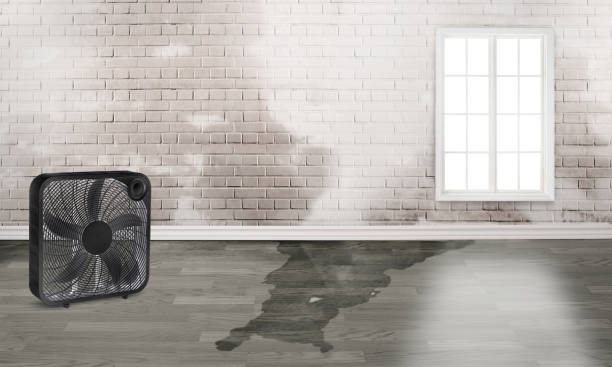 Best Residential water damage restoration  in Cross City, FL