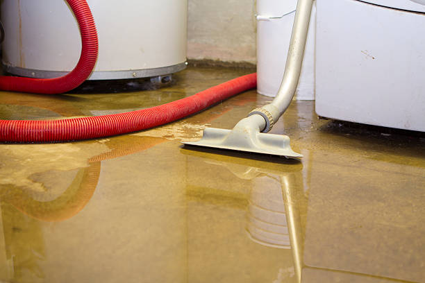 Fire Damage Restoration in Cross City, FL