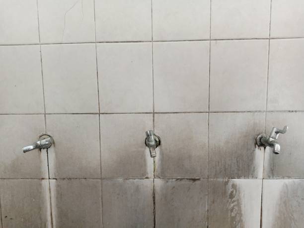 Water damage restoration experts in Cross City, FL