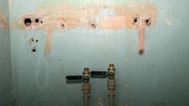 Cross City, FL Water damage restoration Company