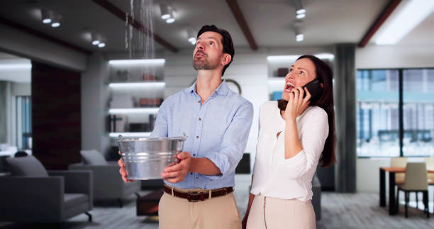 Best Fire Damage Restoration  in Cross City, FL