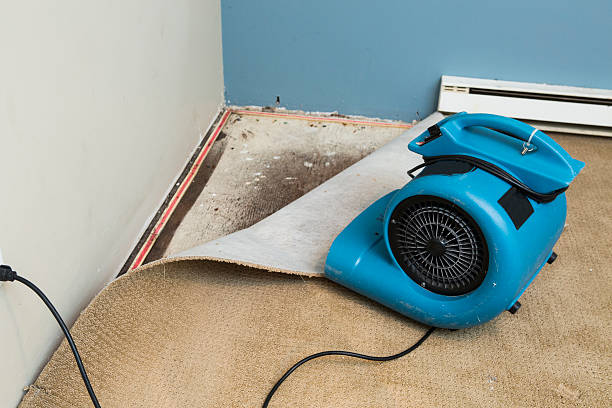 Best Emergency water damage restoration  in Cross City, FL